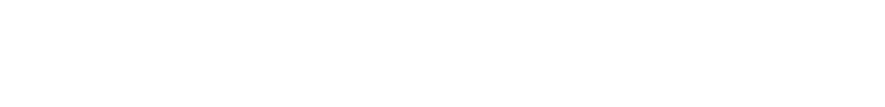 Next Level Launch